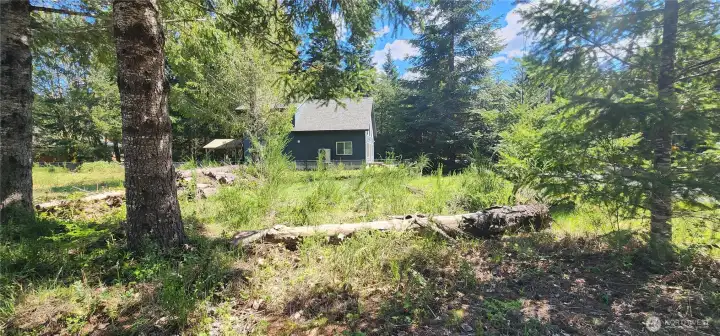 3 run drain field just past the log.