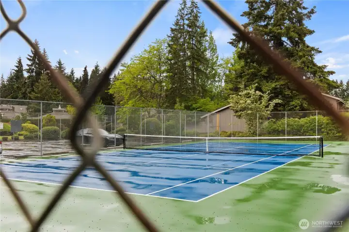 Well-maintained tennis courts available for walk-in play