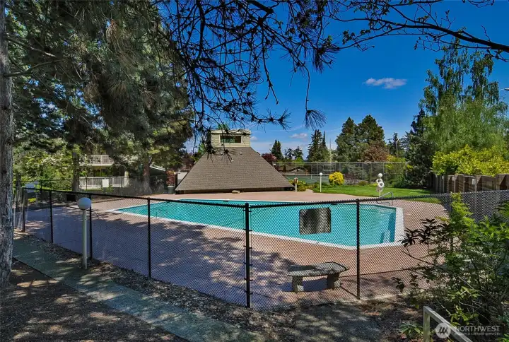 Lovely pool!  Perfect for these summer days.