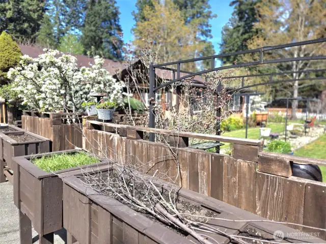 lots of planter boxes