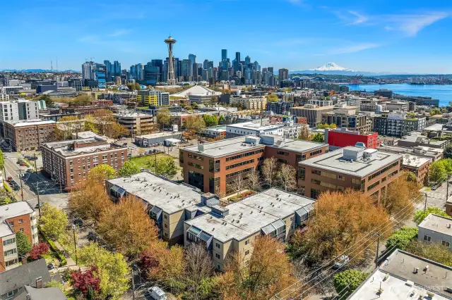 Parks, fabulous restaurants, Seattle Center and Tech Businesses nearby—your peaceful escape within the city.