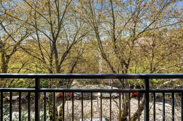 Step out onto the outdoor deck and take in the peaceful views of the tree-lined street.
