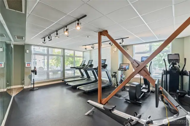 Cardio gym
