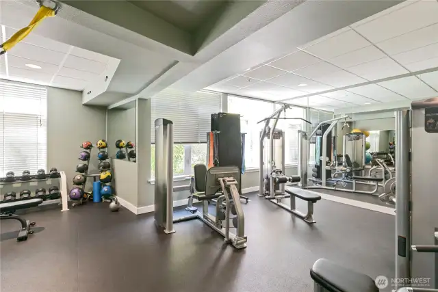 Weight gym