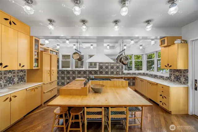 Antique French tile backsplash paired with high-end appliances.