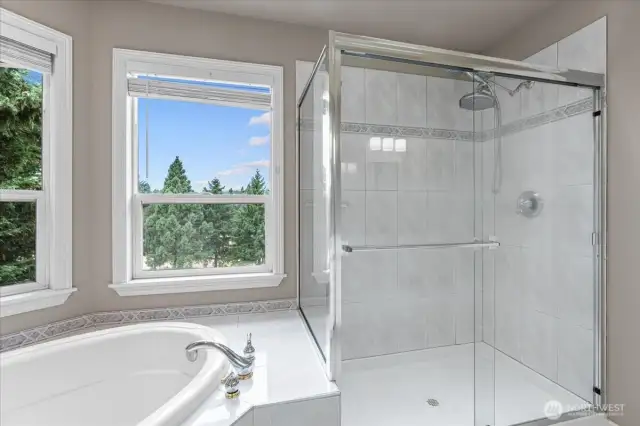 Large soaking tub and standup shower