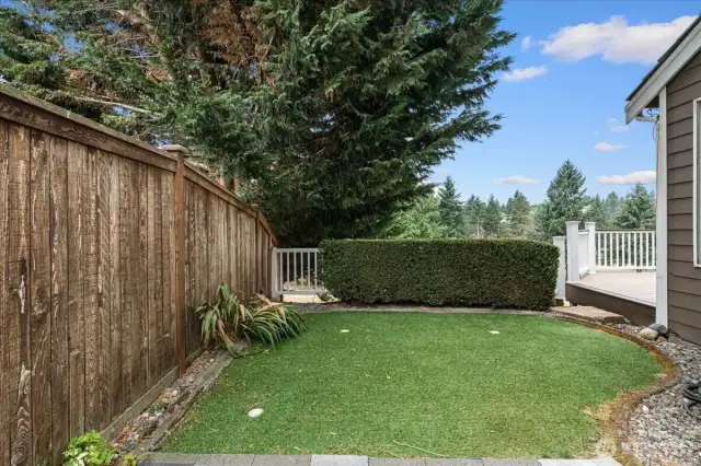 Putting green on the side yard to complete the backyard. Amazing home to host friends and family