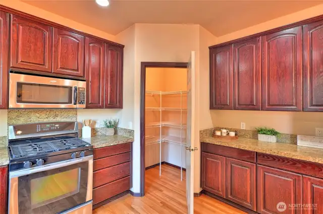 Gas stove, large pantry with plenty of storage