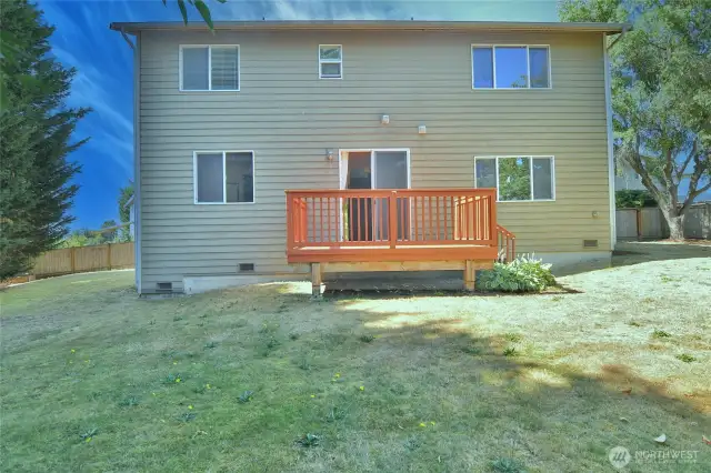 Spacious fully fenced backyard
