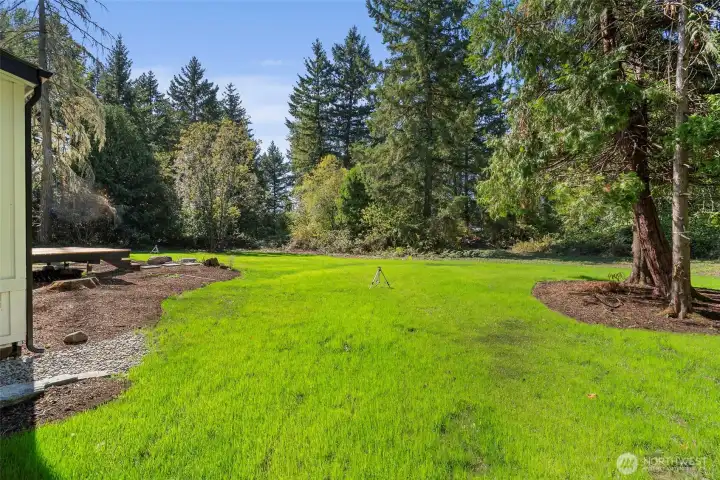 large yard