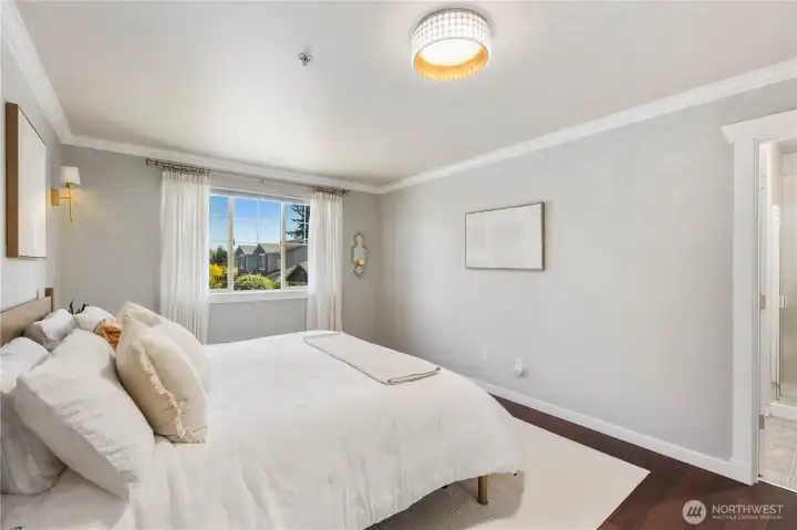 Primary suit Primary suit