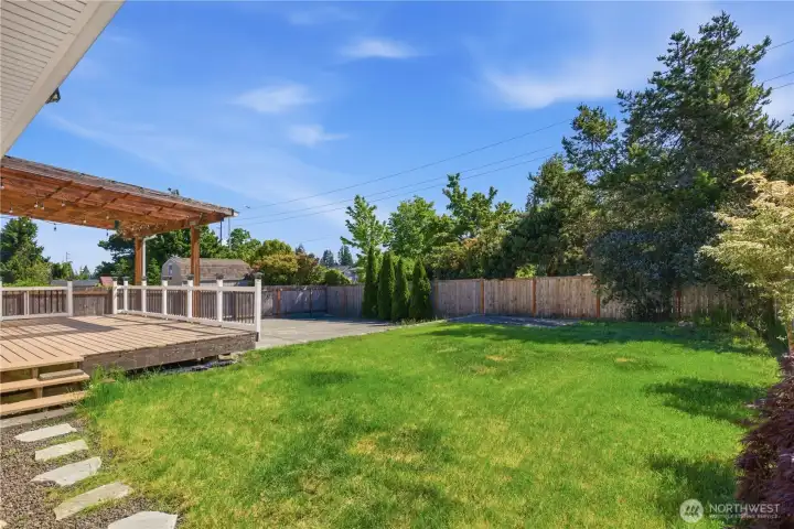 Large backyard