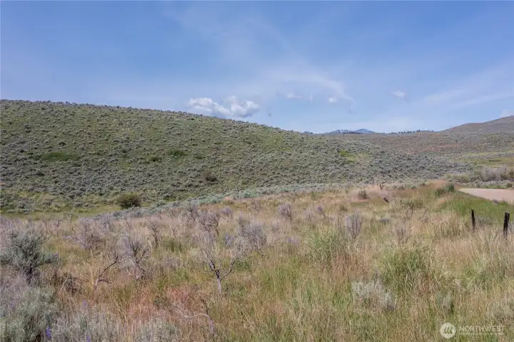 Approximate Northeast corner of property looking west. Approximate Northeast corner of property looking west.