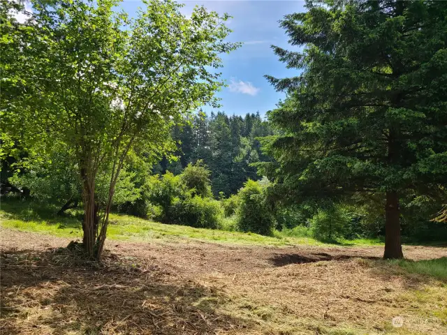 From Hansen St. looking toward conservation/"kettle" lake area