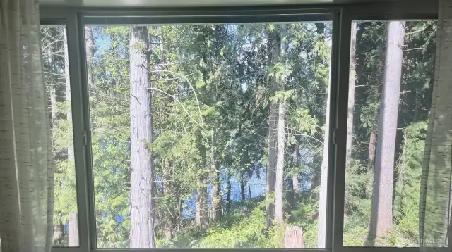 Lake View from Primary
