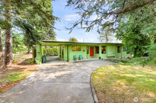 832 Elm Ave. with a wooded forest-like charm in the midst of Blaine