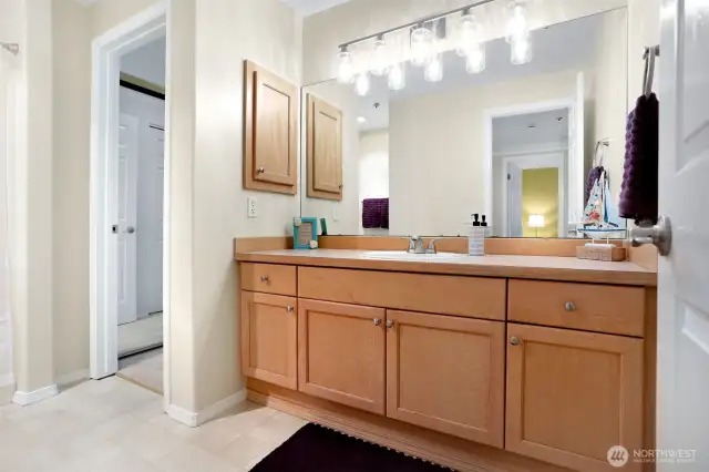 Big vanity in the bathroom. The open door goes to closets on both sides of the hallway and into the primary bedroom.