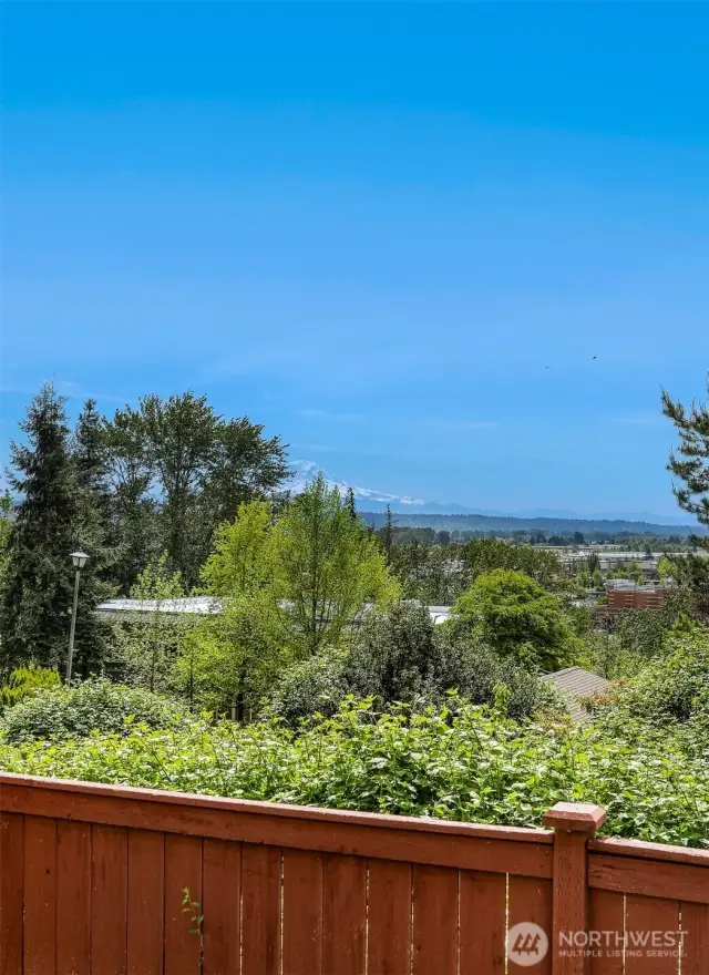 Open territorial view and Mt. Rainier views from your windows!
