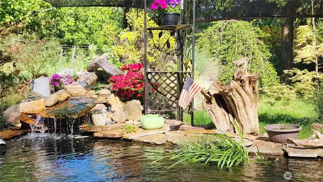 4500+ gallon koi pond with waterfall.