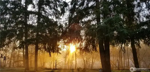 Backyard view of the sunrise.