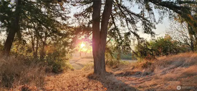 Road to the middle and lower fields.