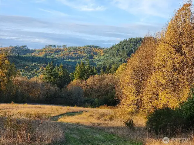Lower field on a Spring afternoon.