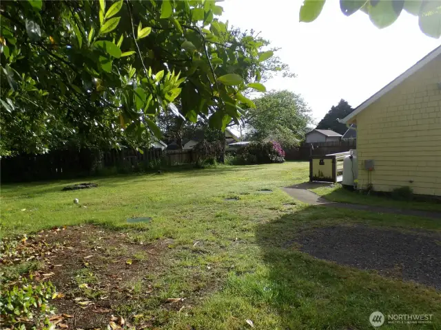 Looking into backyard from the shed.