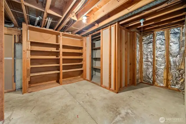 Lower level storage room.