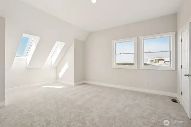 3rd floor guest room #1, walk in closet with hidden passageway to storage!