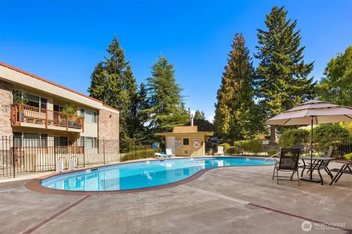 8ft Seasonal Heated Pool