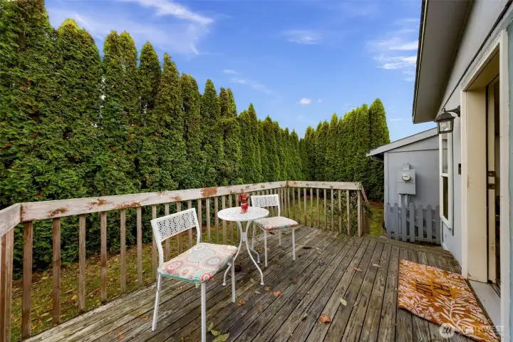 This is the back yard deck area, with total privacy due to the wonderful lush arborvitae's that require no maintenance.