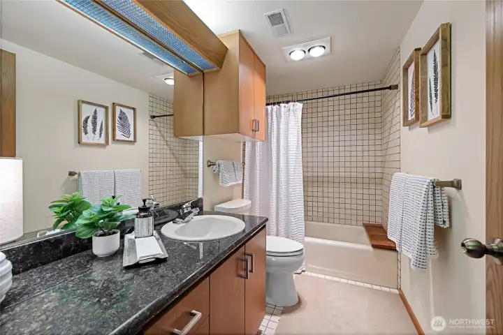 Full Bathroom on lower  level