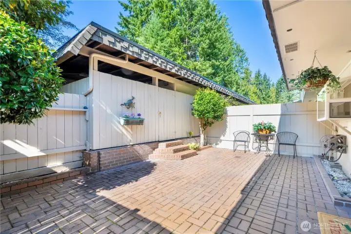 enjoy BBQ in the backyard