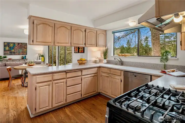Nice kitchen set up, ready for your ideas...pleasant view from the sink onto the course.