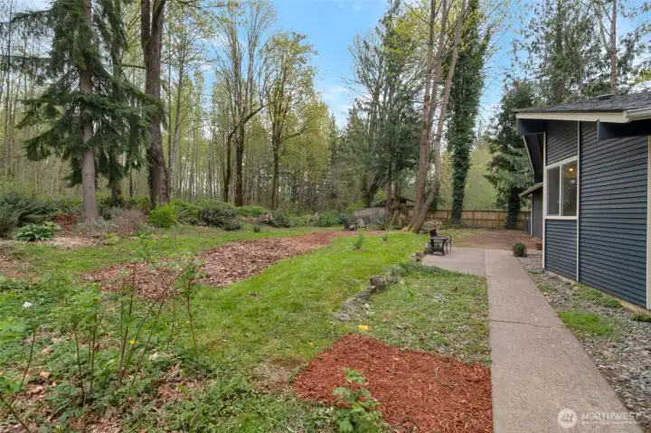 Back yard looking south