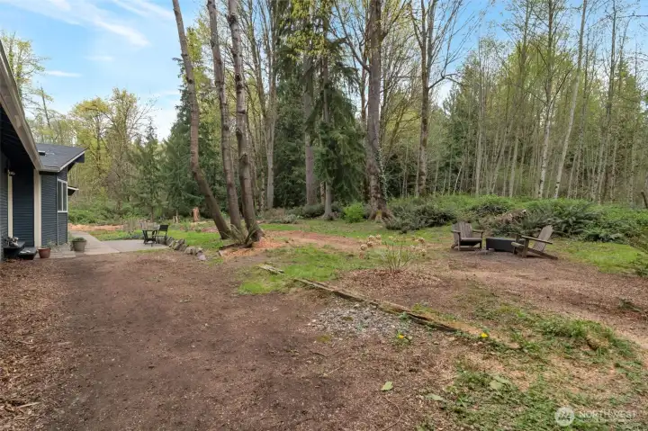 Expansive back yard looking north