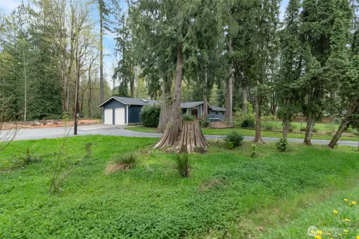 So much usable space