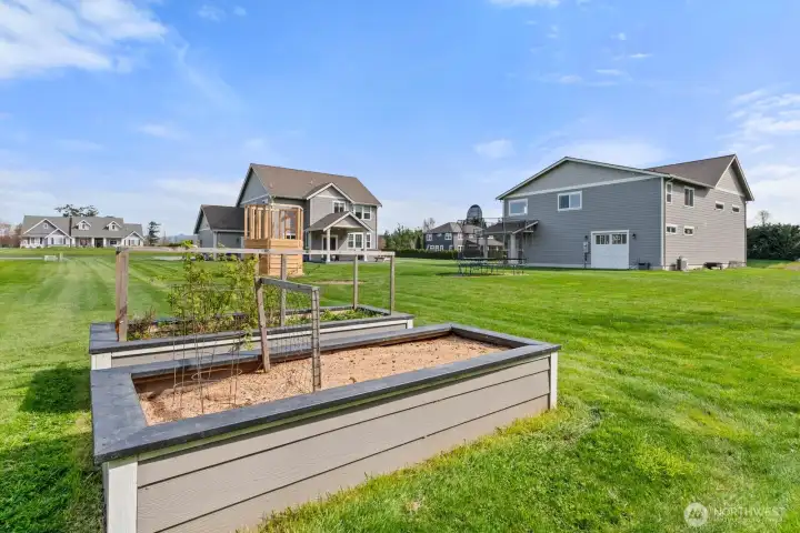 Outdoor space in backyard looking towards home