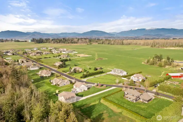 looking at the neighborhood facing north