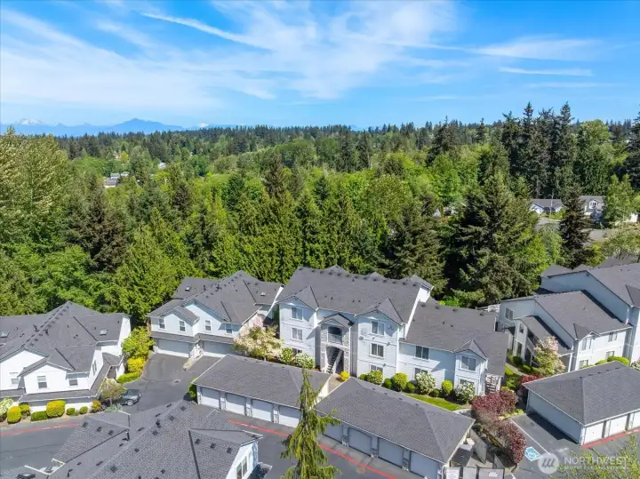 A newly replaced roof offers added value and peace of mind for future ownership.