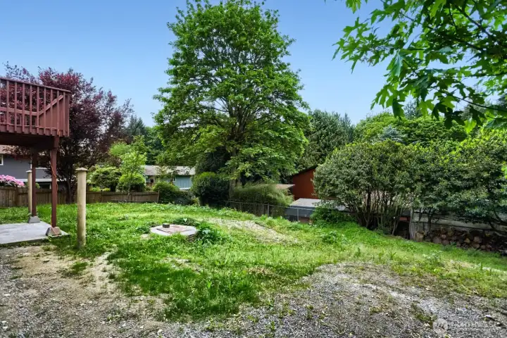 Backyard.