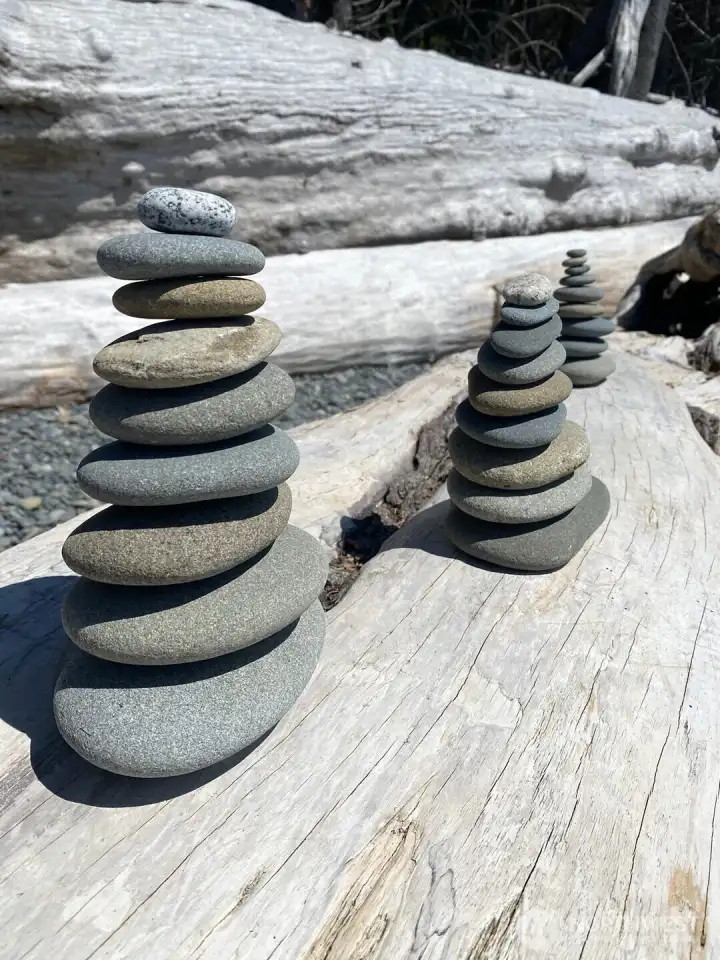 Surprises you can see along the beach