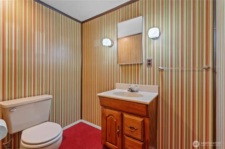 Basement: Swanky! .75 Bath w/Shower, Toilet, Sink. The Sink works. The rest of the plumbing has been turned off for years.
