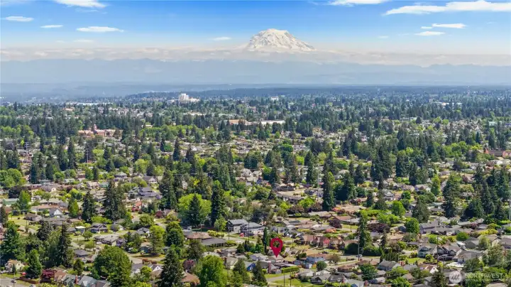 The Mountain is Out!