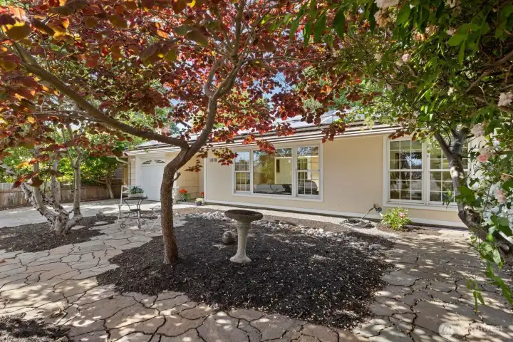 Front of home and fruit trees