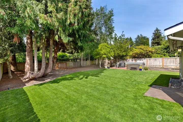 Backyard and Hot Tub