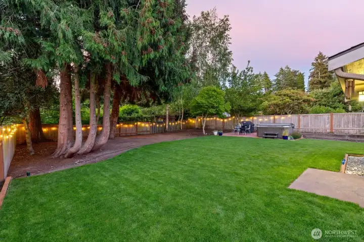 Backyard and Hot Tub