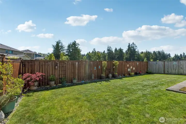 Back Yard