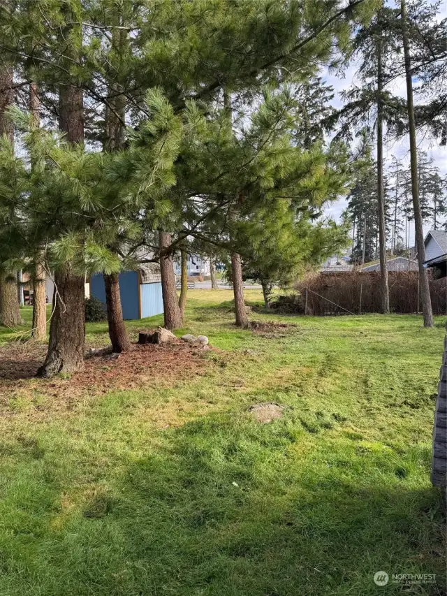 Back yard has a small storage shed and a large Shop with power and water.