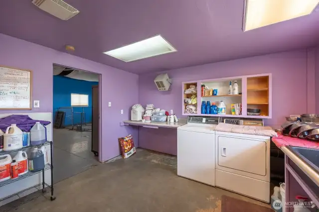 kennel bathing room